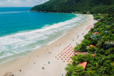 Matadeiro beach with umbrellas and blue ocean with surfing waves. Aerial view of holiday beachの写真素材