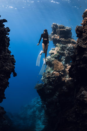 Female free diver swims in underwater canyon near Menjangan island, Bali.の写真素材