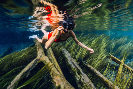 Woman swims over sunken logs with algae in crystal-clear fresh water lake, underwaterの写真素材