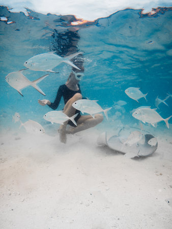 Woman swims with stingrays and tropical fish in Maldives. Sting ray and woman underwater in blue oceanの写真素材