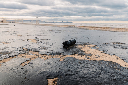 Oil in ocean coastline after a tanker wreck. The beach is polluted with fuel oilの写真素材