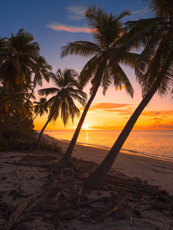 Sunrise or sunset at tropical beach with palm trees and sea in Maldivesの写真素材