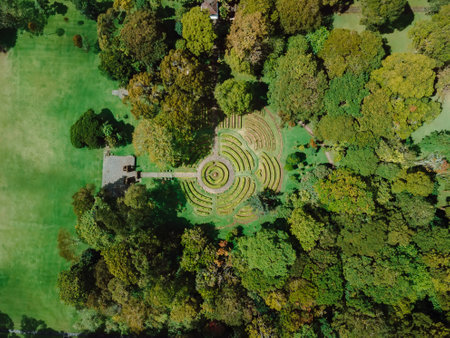 Tropical botanic garden. Bali botanical garden in Bedugul, Indonesia. Drone viewの写真素材