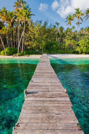 Paradise beach with coconut palm trees, quiet ocean and wooden pier on tropical island.の写真素材