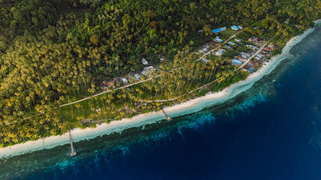 Tropical coastline with coconut palm trees, mountains and sunrise light in Indonesia.の写真素材