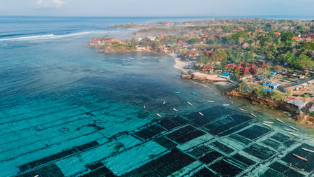 Seaweed farm at Lembongan island in Indonesia with morning light and coastal landscape. Aerial view