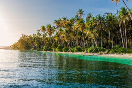 Paradise tropical beach with palm trees and sunrise sunshine on tropical island. Travel vacation destination.の写真素材