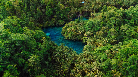 Amazing tropical landscape with transparent crystal blue lake and jungle forest in Sulawesi,...