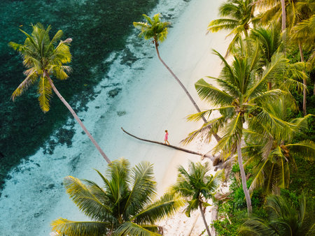 Woman walks on the trunk of a lying palm tree in tropical sea on her holidays. Drone view of paradise beachの写真素材