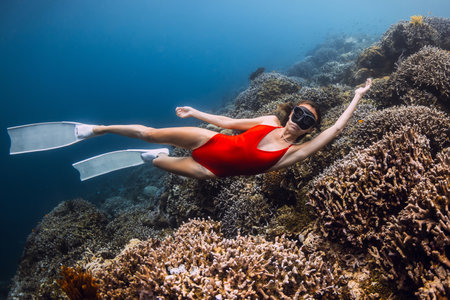 Woman freediver glides in underwater with living corals. Free diving in crystal blue seaの写真素材