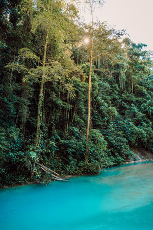 Blue river in tropical jungle with sun light in Indonesiaの写真素材