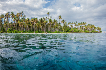 Paradise beach with coconut palm trees and blue ocean on tropical island in Indonesia. Scenic view...