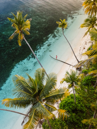 Woman on the trunk of a lying palm tree in tropical sea on her holidays. Drone view of paradise beachの写真素材
