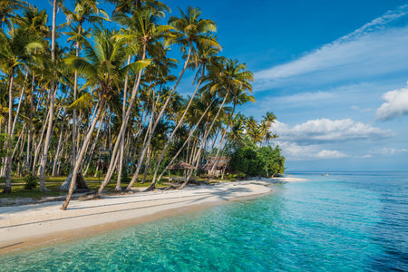 Paradise sandy beach with palm trees and quiet sea on tropical island. Travel luxury vacation...