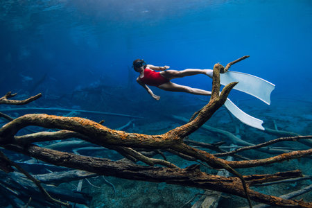 Freediver woman with diving fins swims underwater between sunken wooden logs in lake. Freediving in...