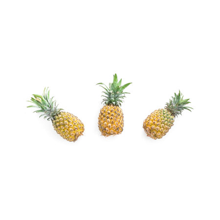 Three ripe pineapples on white background. Minimal tropical fruit concept with fresh exotic vibes.の写真素材