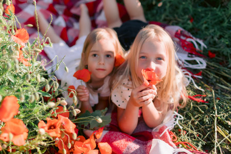 Sister child girls lying on a plaid in a blooming poppy field, sunny summer dayの写真素材