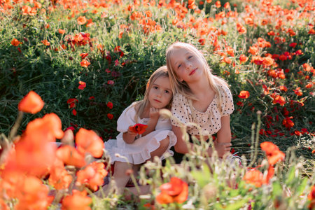 Sisters on a plaid in a blooming poppy field, sunny summer dayの写真素材