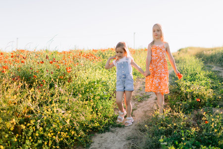 Two sisters walking in a blooming poppy field on a sunny day. Family time and nature harmony.の写真素材