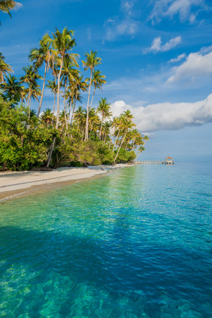 Paradise beach with palm trees and quiet sea on tropical island. Luxury vacation banner.