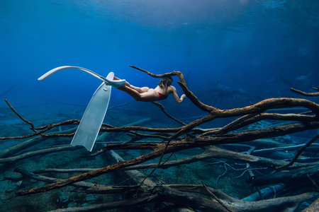 Freediver sexy woman glides underwater with diving fins over sunken logs in the lake. Free diving in blue crystal lakeの写真素材
