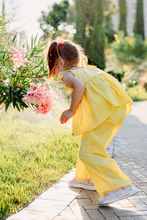 Happy little girl in yellow dress playing near sprinkler on a sunny day in blooming summer park.の写真素材