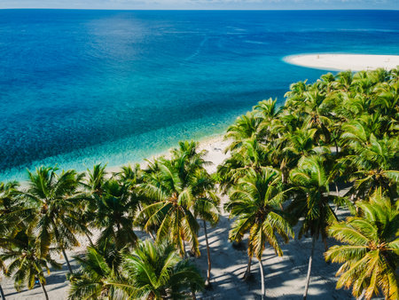 Aerial view of tropical palm beach with crystal clear turquoise ocean on a sunny day.の写真素材