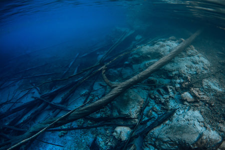 Sunken logs with rocks underwater in deep blue lakeの写真素材