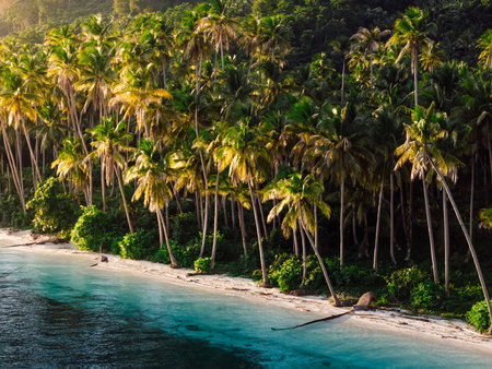 Paradise coastline with coconut palm trees and sunrise light on tropical island in Indonesia. Remote...