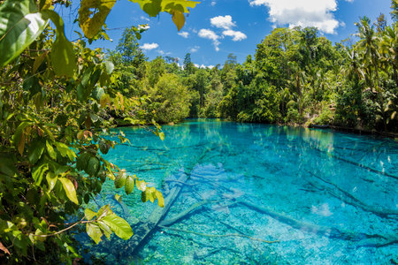 Blue lake with crystal fresh water in tropical forest in Indonesia. Remote destination in Sulawesiの写真素材