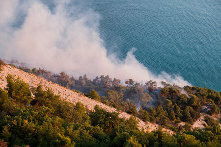 Wild fire smoke rising from forest near sea coast, natural disaster affecting environment and landscapeの写真素材