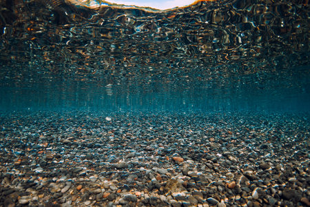 Underwater scene with stones bottom and reflection on surface in sea. Water background.の写真素材