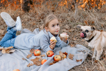 Child girl lies on a plaid on a picnic, eating apple and give sandwich her dogの写真素材