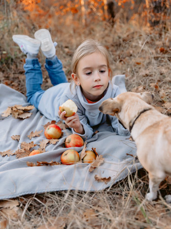 Child girl lies on a plaid on a picnic, eating apple and give sandwich her dogの写真素材