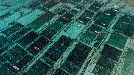 Aerial view of ocean seaweed farm at Lembongan island in Indonesia