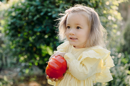 Cute child girl portrait with red tomato from garden.の写真素材