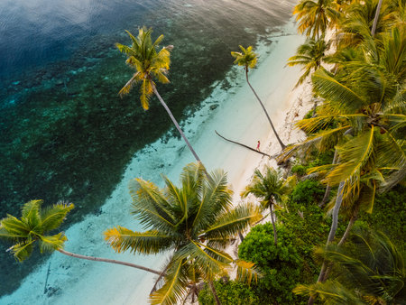 Person walks on lying palm tree in tropical sea on their holidays. Drone view with palm trees and personの写真素材