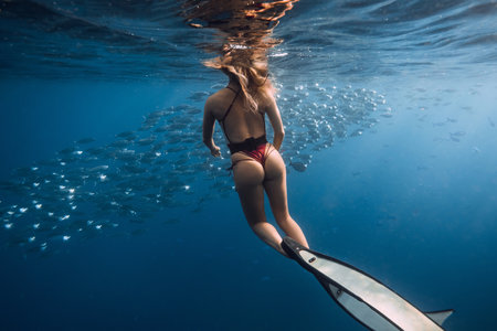 Woman freediver swimming with school of tuna fish in blue oceanの写真素材