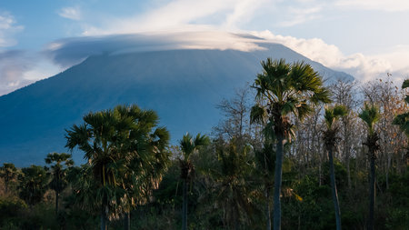 Mountain landscape with Agung volcano, palm trees and clouds in Bali. Drone viewの写真素材