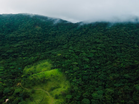 Mountains with forest and cloudy sky in Santa Catarina, Brazilの写真素材