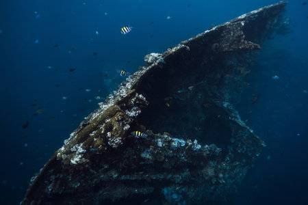 Diving at USAT Liberty Wreck in Tulamben, Bali. Freediving on wreck shipの写真素材