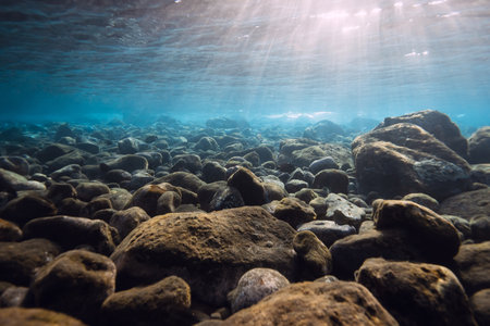 Underwater scene with stones and sun rays in blue water.の写真素材