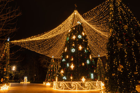 Illuminated outdoor Christmas trees in a festive night city square, creating a magical holiday scene.の写真素材