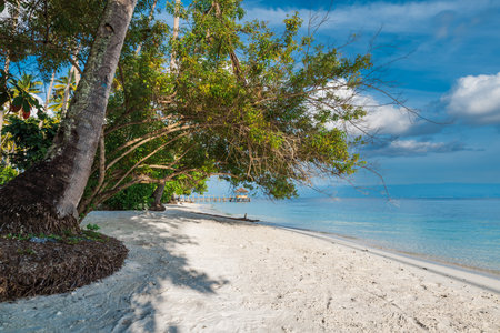 Paradise sandy beach with palm trees and quiet sea on tropical island.