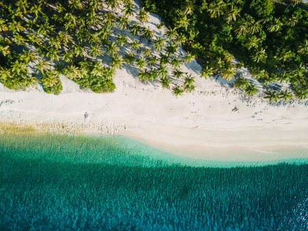Tropical beach with palm trees and turquoise ocean, paradise island drone view.
