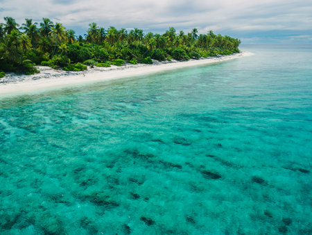 Maldive coastal, ocean and tropical beach with palms in sunny day