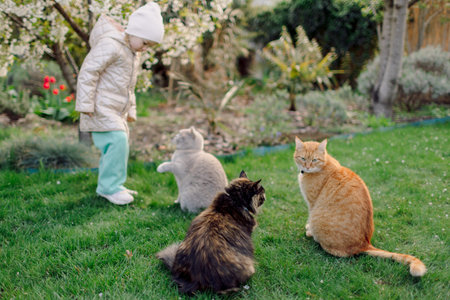 Little child girl playing with cats in spring backyard gardenの写真素材