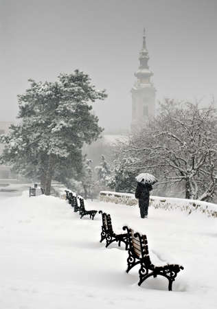Heavy snowfall, winter in park.の写真素材