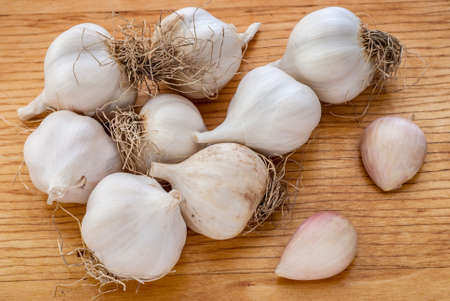 Whole garlic and cloves on a chopping board.の写真素材