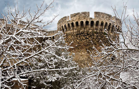 Turrets of a medieval castle behind snow covered branches.のeditorial素材